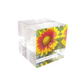 Cube Magnet Frame